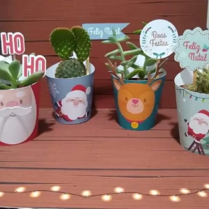 Arquivo Silhouette Capa Suculenta Natal Studio