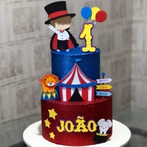 Festa Topo de Bolo Circo Menino Studio