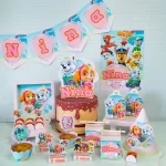 Festa Patrulha Canina Rosa Studio e Pdf