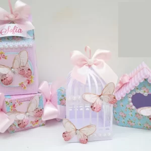 Aniversário Com Tema de Borboleta Studio