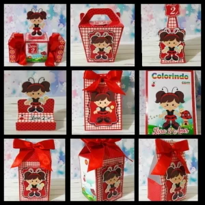 Aniversario Tema Joaninha Studio e Pdf