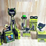 Festa Decoração Cat Noir Studio