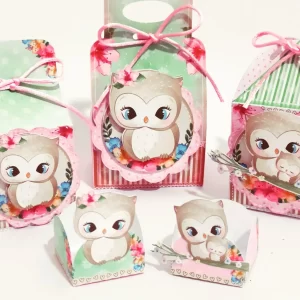 Festa Tema Corujinha Studio e Pdf