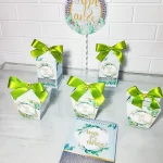 Temas Para Festa de 15 Anos Studio e Pdf