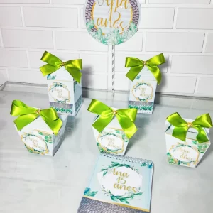 Temas Para Festa de 15 Anos Studio e Pdf