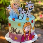 Bolos de Aniversário da Frozen Studio